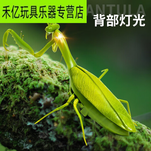 山头林村遥控螳螂电动仿真玩具抖音整蛊神器蟑螂男孩会动的蜘蛛爬行小动物 [经典版-遥控瓢虫]红色款9922+螺 官方标配