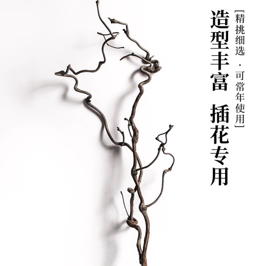 龙枣干枝树枝树干装饰弯曲龙爪插花干枝风干干花 天然龙枣枝15885cm 一物一拍 干树枝