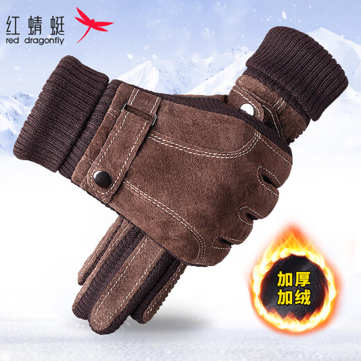 Red Dragonfly Genuine Leather Gloves for Men Winter Cycling and Motorcycle Velvet Thickened Touch Screen Warm Windproof and Splash-proof Pigskin Cotton Gloves Style 1 - Genuine Leather Thickened Velvet - Brown One Size Windproof Touch Screen