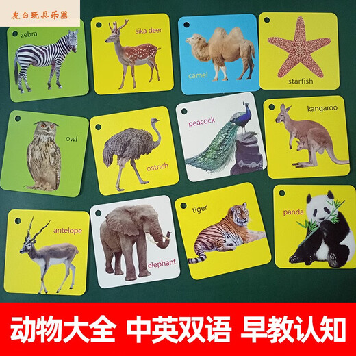 Shantoulin Village Children's Animal Cognitive Card Lehre AIDS -Bilder und identifizieren Dinge Charaktere und Muster Bücher Auflegen Baby Frühschulaufklärung Spielzeug Transportkasten/Senden des Aufbewahrungsrings