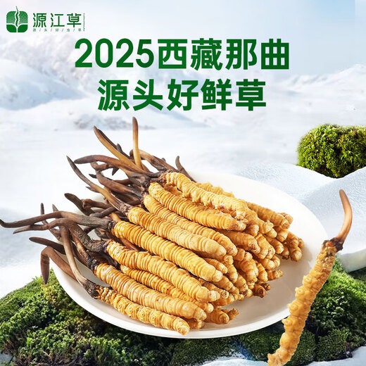 源江草【西藏那曲】2025年正宗野生新鲜冬虫夏草高端滋补礼盒送父母长辈 野生鲜草1.0-1.2克/根 50根