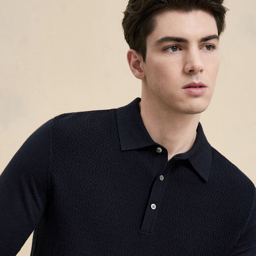 EMZ鄂尔多斯【羊毛羊绒】秋冬抗静电商务休闲翻领短袖针织衫毛衣 兰黑 常规 3XL 190/104A