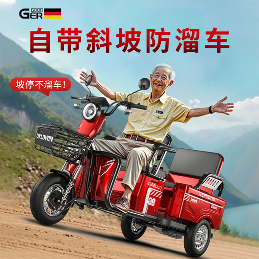 Galide high-power electric tricycle with shed for household use, small scooter for the elderly, mountain hauling, long-range electric tricycle, 48V600W naked bike (battery charger not included)