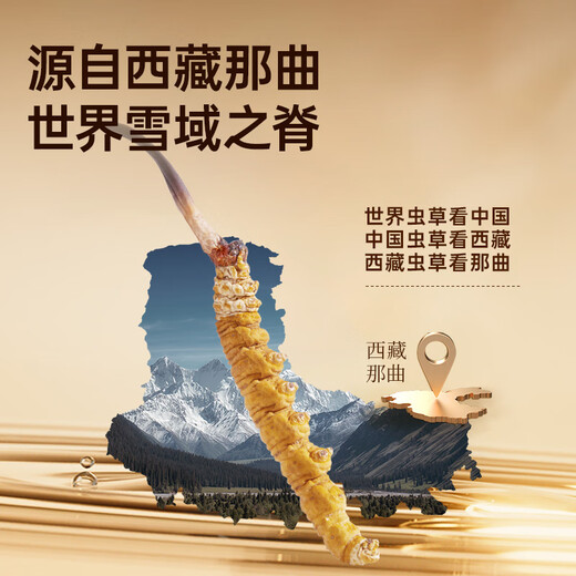 阿依舍西藏野生冬虫夏草约5根/g10克约50根那曲虫草礼盒滋补品送礼