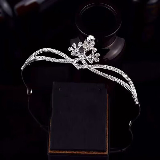 Enchanting Cat Princess Crown Tiara Women's Headband Hair Accessory Wedding Photo Photo Collection Certificate Proposal Birthday Gift Practical for Girls