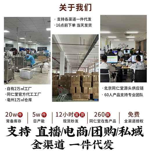 同仁堂菊花决明子青钱柳桑叶养生茶系列产品厂家 菊花决明子枸杞茶【老款】
