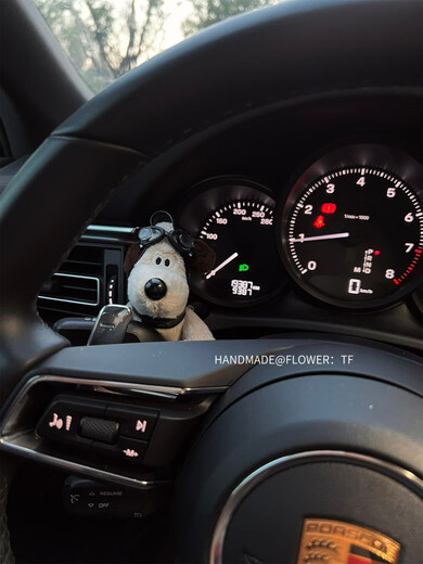 Litian Automobile Central Control Screen Paste Doll Decoration Pendant Cute Plush Ornament Girl Car New Year Gift Black and Green Sweater Seat Belt Style Covered Safety Belt
