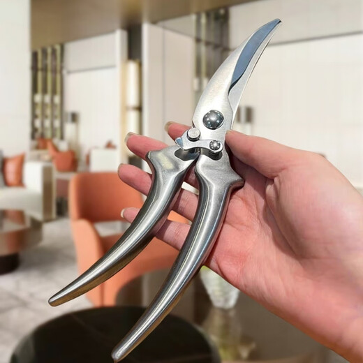 Zwilling (Henckel) Edelstahl-Haushalts-Küchenschere, leistungsstarke Knochenschere, multifunktionale Küchen-Mehrzweck-Lebensmittelschere, Fischtötungswerkzeug, B-Typ-Küchenschere