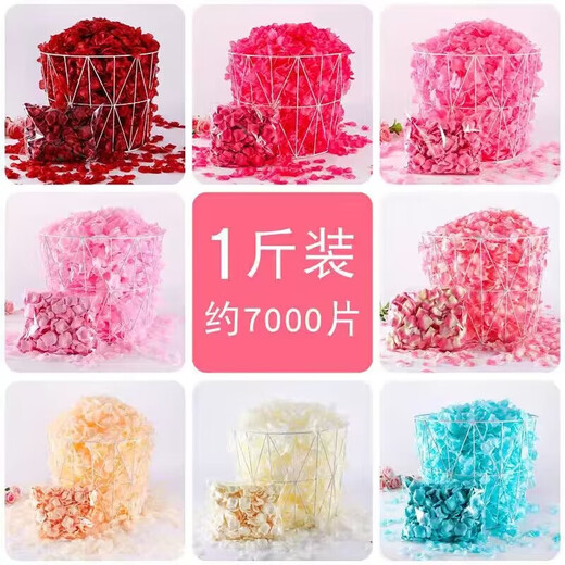 Pickup Cat Simulated Petals Wedding Hand-Spreading No-Rub Simulated Rose Fake Petals Knot Wedding Confession Decoration Hand-Spreading Proposal Flowers White Petals (1000 Pieces)