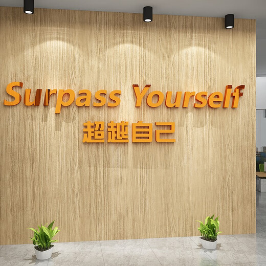 办公室墙面装饰员工激励志标语画企业文化司会议氛围布置英文 17152自己-白色 特大