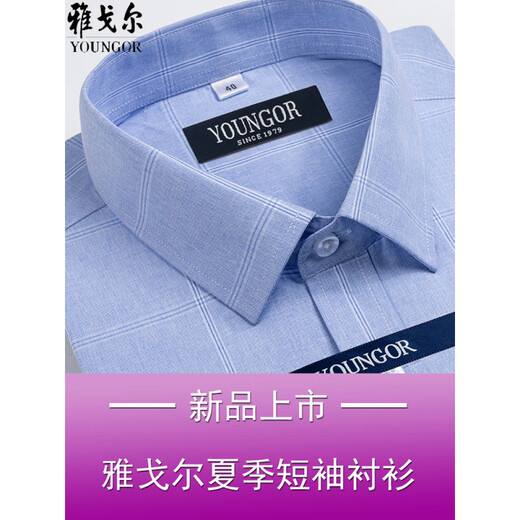GY雅戈尔短袖衬衫男夏季薄款纯棉中年商务免烫宽松格子高级正装衬衣 短袖DX6630 38 建议【70-95斤】