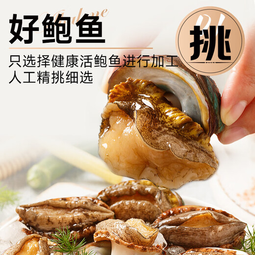 Linglue Fujian fresh frozen large abalone, net weight 400g, 8 pieces box, abalone hot pot barbecue, shellfish and seafood, fresh