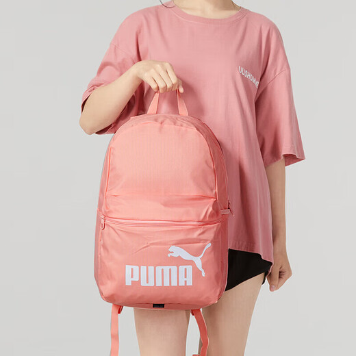 彪马（PUMA）男包女包 25春新款运动包户外旅游收纳双肩包时尚电脑包学生书包 079943-04 OSFA