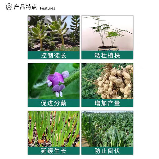 Guoguang 5% uniconazole, rapeseed, rice, peanut, pepper, growth control, chlormequat, anti-lodging pesticide, plant growth regulator 100g*1 pack