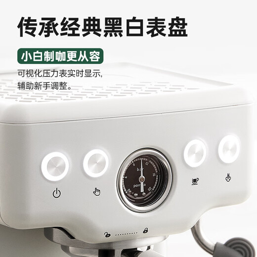 Petrus [National Subsidy] Coffee Machine Italian Concentrated Household Small Semi-Automatic Steam Milk Froth PE3833 Sea Salt Small Formula