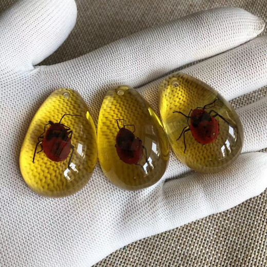 DL 1998 Fat Donglai same model luminous amber real insect specimens children's excavation archaeological blind box pendant accessories resin accessories luminous scorpion 50mm 20-