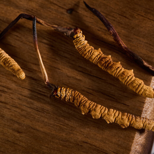 Guancaigui [Naru, Tibet] Wild Cordyceps Sugar Sugar Diefments для старейшин и подарочная коробка для пожилого питания Cordyceps Практическая выбранная [дикая сломанная трава] 10G подарочная коробка