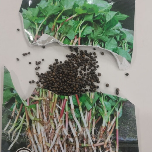 Houttuynia cordata seed seedlings + Sichuan authentic fresh folded ear root seedlings for home gardening and four-season potted plants Houttuynia cordata seeds only sell good seeds, buy one + one, get 2 bags for about 20