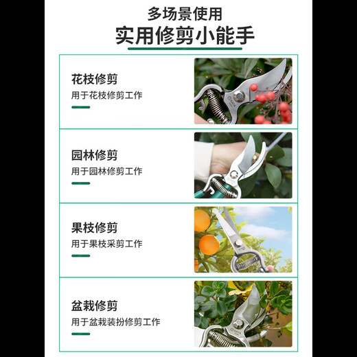 Shida manual pruning shears, fruit tree gardening scissors, extended durable tool shears, pruning branches, floral shears, labor-saving 05901 curved blade_8 inches 20cm long