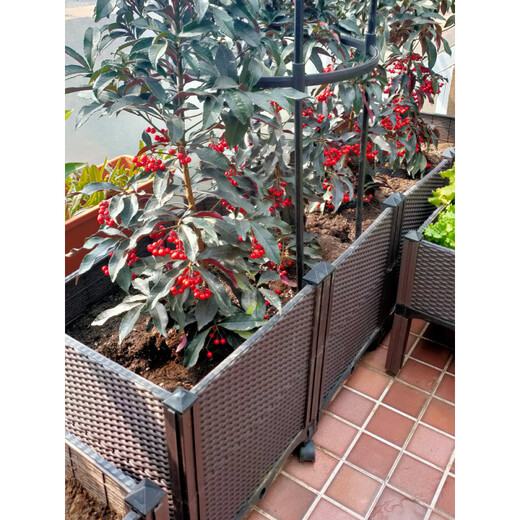Beyzk große Pflanzkasten Balkon Gemüse Topf Kunststoff Gemüse Kombination Gemüse Pflanztopf Dach Outdoor Blütenbox Lieferrad Rattan gewebte dreifache Triple Box (12040) Hoch 26 Plastik extra groß