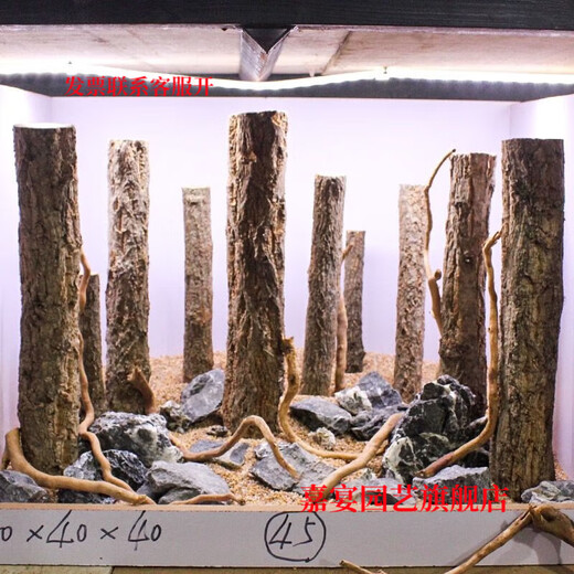 Champagne trunk underwater forest ornaments, pure natural water and land tank, rainforest tank, landscaping, climbing pet turtle terrace, 1-2 cm in diameter and 20 cm long.