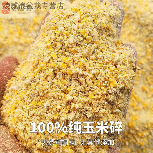 Multigrain grains for chickens, chicken feed corn, corn stubble, corn slurry, chicken feeding, chicken fishing, nesting, ducks and geese, chicken feed corn crush 20Jin Jin is equal to 0.5 kilograms