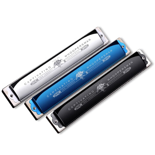 Swan allemand Cherry Swan Swan 28 trous Accent harmonica for adulte Professional Performance débutants Disque haut de gamme à 24 trous [cadeau haut de gamme] Disque Black + Accompagment U