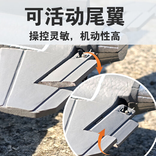 俏羽遥控飞机战斗机迷彩f16战斗机特技固定翼滑翔机航模新手入门机 三通道F16【建议8岁以上玩】 一块电池(飞15-20分钟)