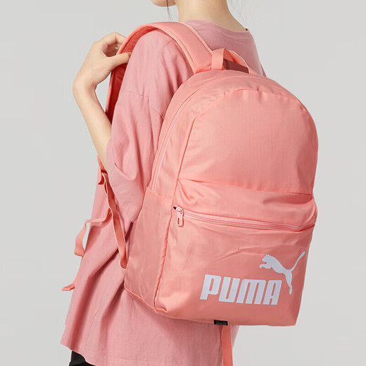 彪马（PUMA）男包女包 25春新款运动包户外旅游收纳双肩包时尚电脑包学生书包 079943-04 OSFA