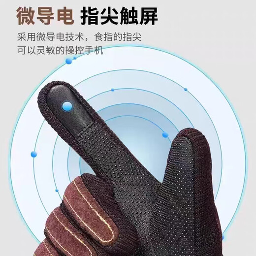 Colorful genuine leather gloves for men in autumn and winter, warm, windproof, velvet, thickened and coldproof, outdoor riding electric motorcycle cotton gloves