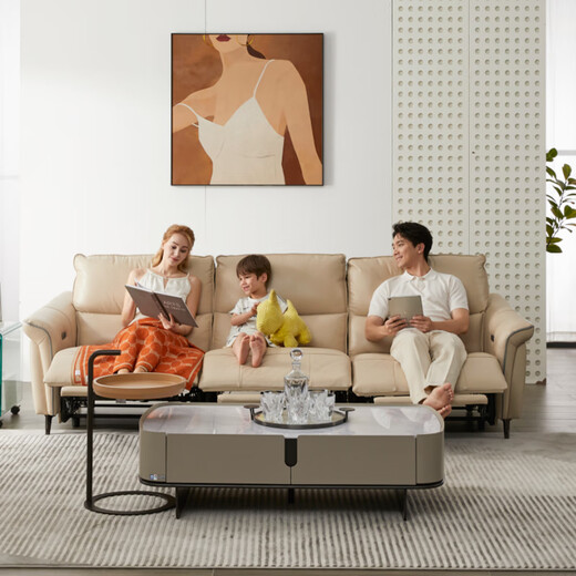 
Zhihuashi First Class Zero Wall SE-U11167BM Zero Modern Living Room Top-Level Cowhide Electric Function Sofa Moonlight White Three-person 246cm - Double Electric
