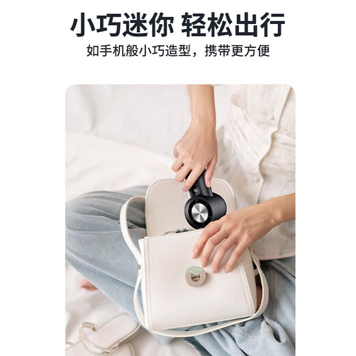 Pet dog special mouth hair dryer mini facial hair dryer Bichon Teddy handheld bath artifact T-100 high speed fan - purple power 5w