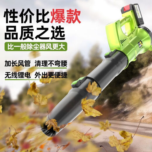 充电式鼓风机强力吹风机大功率工业用锂电无线吹灰机吹灰尘吹树叶 DS-6挡暴风吹3888TV一电一充
