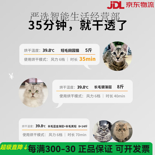 Xiaopei Haustier-Trockenbox MAX Katzentrockner Haartrockner zum Baden zu Hause und automatisches Wasserblasen für Hunde 60L Smart PRO-Modell-aktivierter Sauerstoff