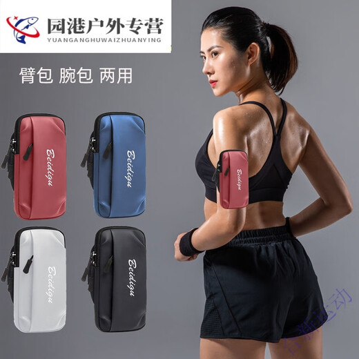 Zailu mobile phone bag arm sports arm bag mobile phone bag running equipment storage bag arm sleeve arm bag men and women arm bag blue breathable sweat-absorbent upgraded FX model