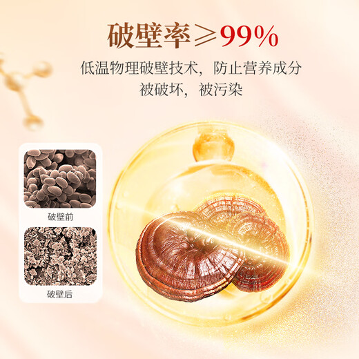 Xianzhilou Four Organic Break-Wall Ganoderma Lucidum Spore Powder High Triterpene National Standard for Immunity Enhanced Blue Hat Health Products 4 Boxes 720g [Triterpenes 12.5g - Full Year Quantity] Stocking Set