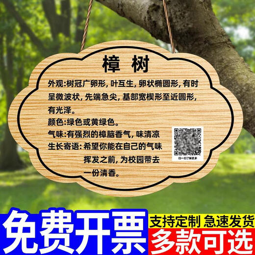 Tree tag, plant label, nameplate, garden tree name introduction, custom acrylic tree name, Arbor Day 20x15cm, preferred material, more durable