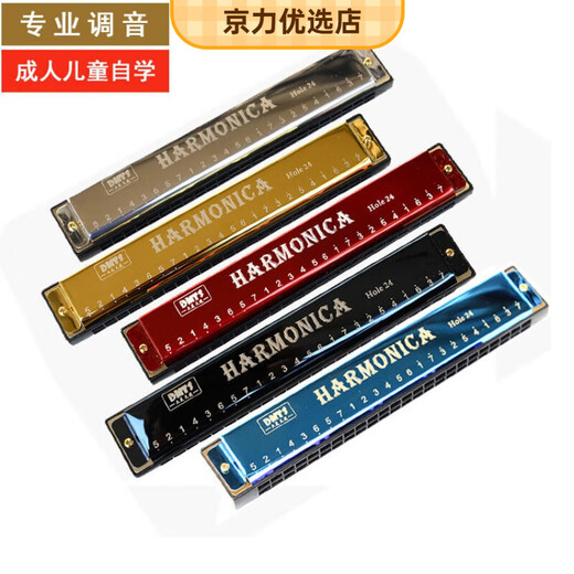Swan (SWAN) 24-hole C harmonica children's instrument 10-hole blues beginner adult organ toys 118 24-hole fine titanium harmonica (silver)
