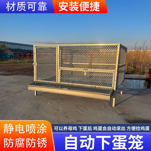 鸡笼子家用室外防雨自动收蛋防啄防黄鼠狼防鼠加厚不锈下蛋养殖笼 16784级特厚锰钢防锈下蛋笼 单笼子