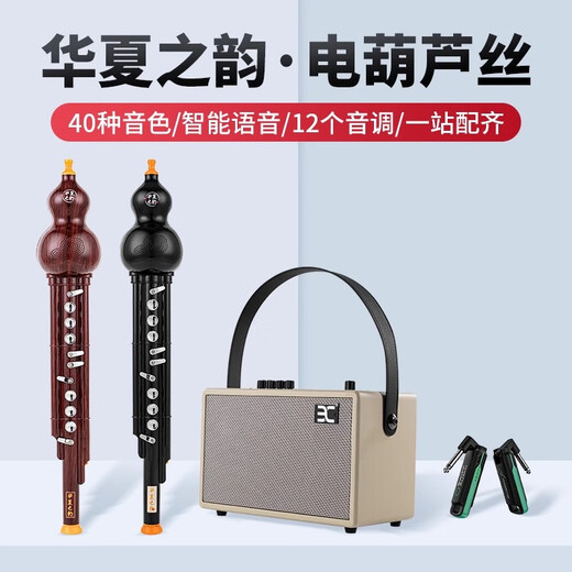 CHINE RHYME HUAXIA ELECTRIC HULUsi Musical Instruments Domestic Electronic Blow Tube Hulusi Electronic Electric Electric SA Instruments de musique débutant Nouveau type Hulusi-Blue et Porcelaine blanche