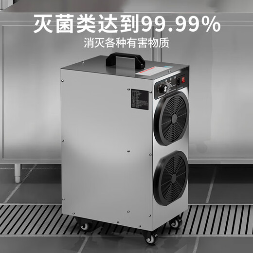 ANLEAVO ozone generator food factory disinfection ozone machine industrial workshop school hospital municipal garbage room cold storage warehouse archives air purifier sterilization, deodorization and odor removal 10g/h (applicable to 100-130 square meters)