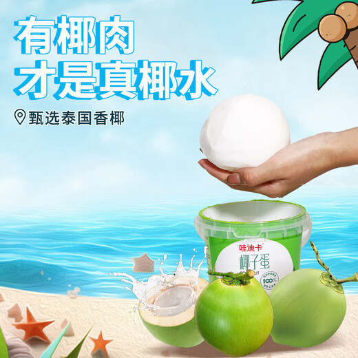 Frozen Thai coconut egg cuddle bucket 500g
