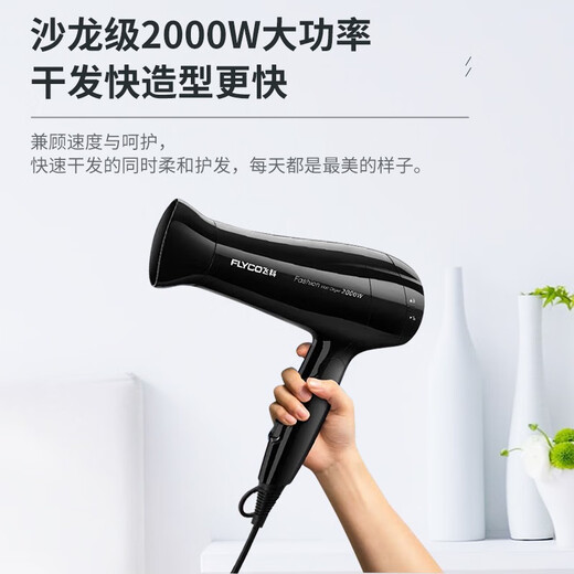 三选优品电吹风家用大功率2000W速干吹风机学生宿舍用折叠风筒fh6231 博锐吹风机/绿色送免打孔 收纳架