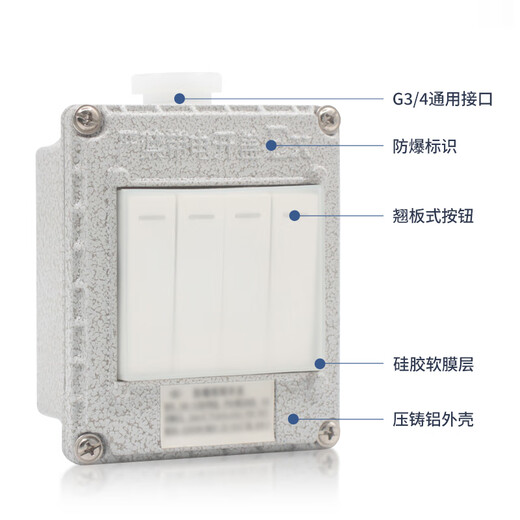 Explosion-proof wall switch 220V explosion-proof lighting switch 86 type surface-mounted access control single-opening double-opening factory fuse circuit breaker Explosion-proof lighting switch 220V regular model