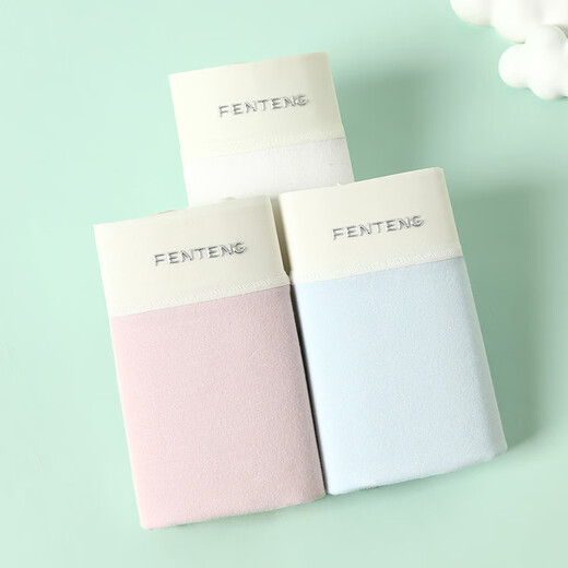 Ropa interior de fenten para mujeres 3 pares de pantalones dos usan 10a antibacteriano algodón puro puro cómodo