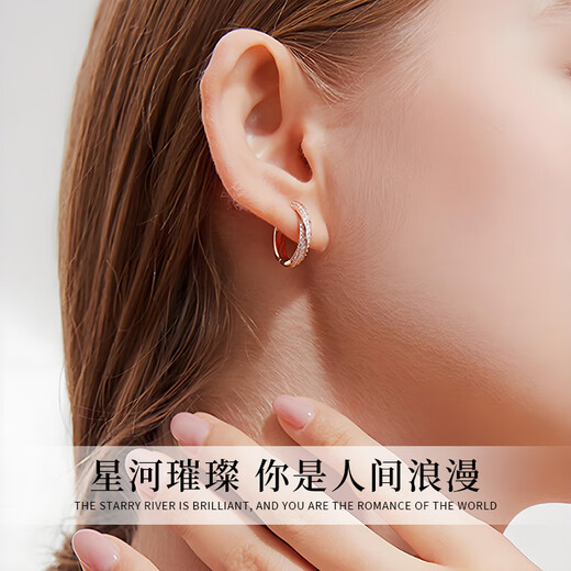 Chinese jewelry sterling silver circle earrings women's ear buckle earrings 2025 new light luxury high-end birthday gift for girlfriend