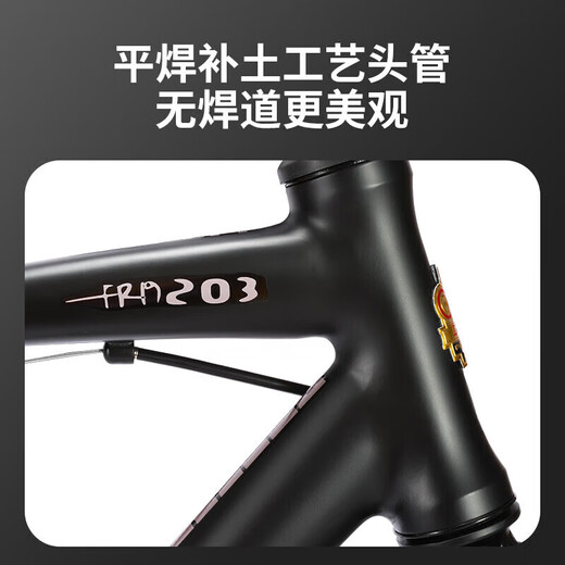 Permanent 700c Fine Tire Bend Aluminium Alloy Road Bicycle 30 Vites