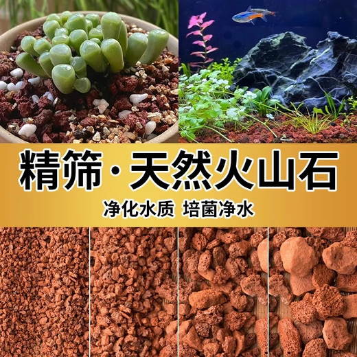 Nutrient soil volcanic stone fish tank special granular natural filter material fish tank landscaping bottom sand ancient fish farming material large pieces fine volcanic stone 1-3 cm-5Jin Jin is equal to 0.5 kg