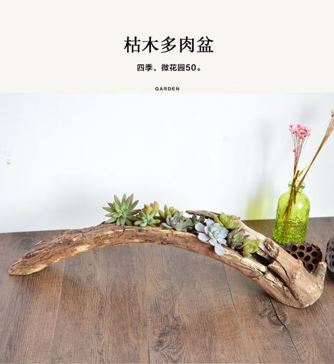 Succulent wood flower tank natural log wood root dead wood flower pot Zen Dendrobium succulent plant rotten wood flower pot Black 1355
