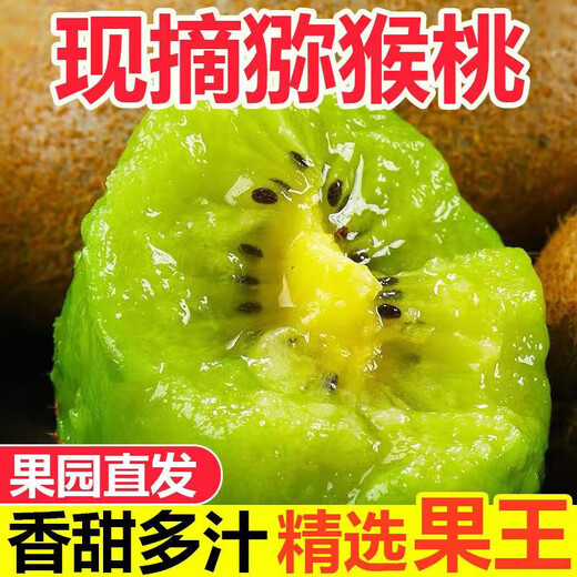 Shaanxi Meixian Xuxiang kiwi fruit 2025 new fruit picked now, sweet and juicy, bad fruit guaranteed to be compensated by JD.com Sweet and juicy 8 pieces (single fruit 60-70g)
